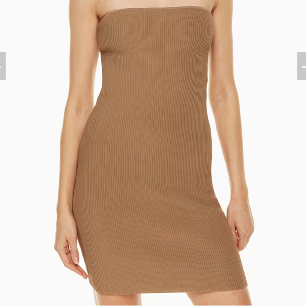 Aritzia Babaton Sculpt Knit Tube Dress